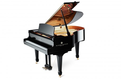 The Wilhelm Grotrian WGS-165 is your musical companion and biggest critic. Grand pianos of this caliber are worth years of practice.